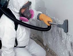 Best Dehumidification Services in Weissport East, PA